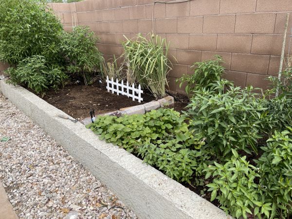 Backyard Concrete Landscaping